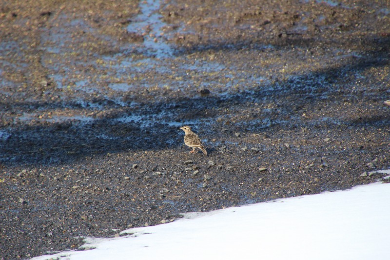 ファイル 47-6.jpg