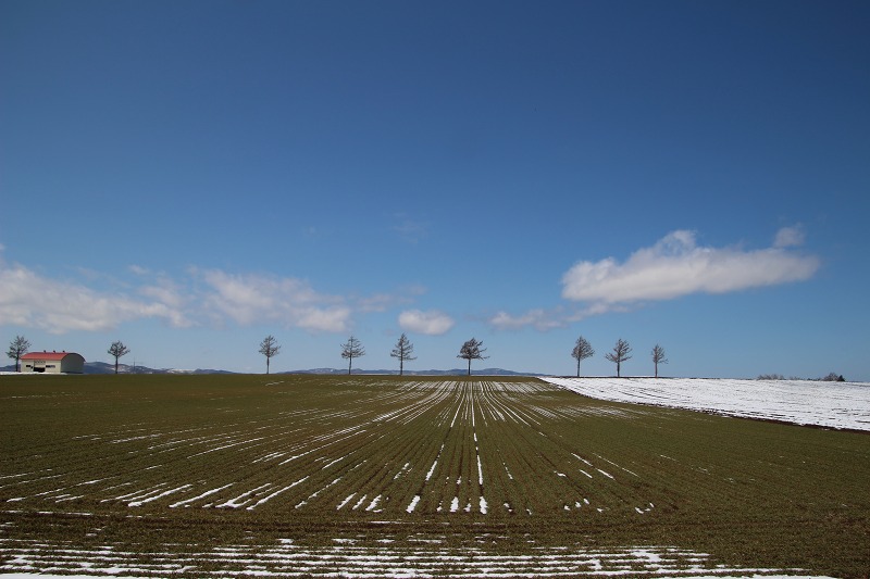 ファイル 48-2.jpg