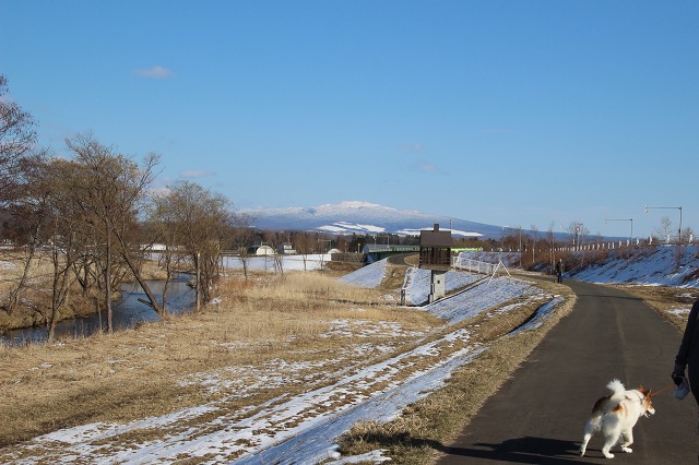 ファイル 49-7.jpg