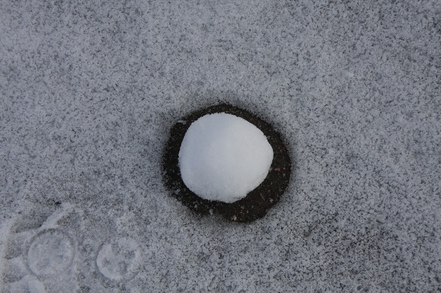 ファイル 5-5.jpg