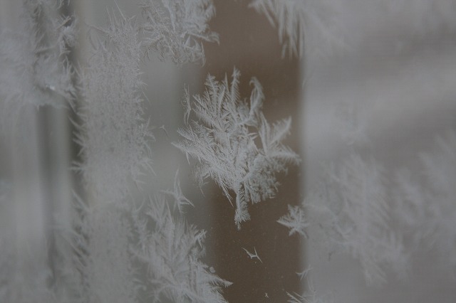 ファイル 5-6.jpg