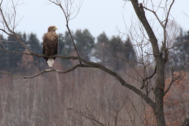 ファイル 5-8.jpg