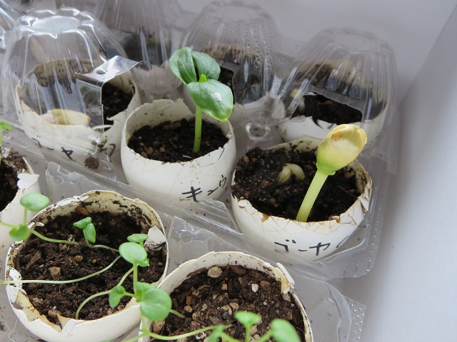 ファイル 50-1.jpg