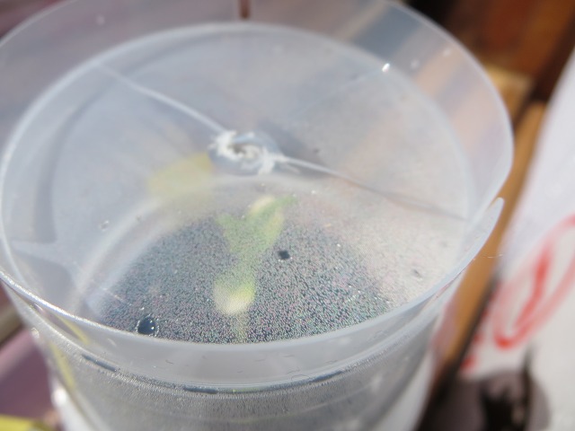 ファイル 50-2.jpg