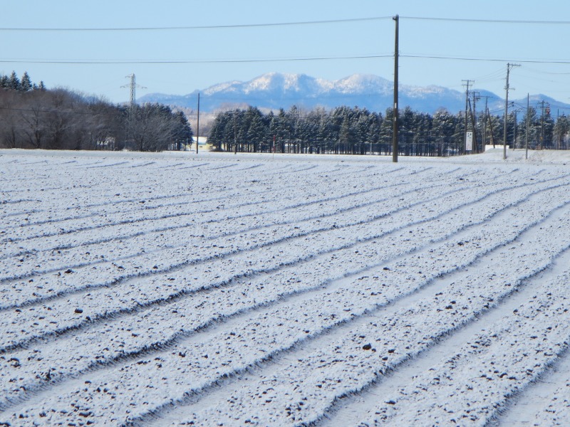 ファイル 51-2.jpg