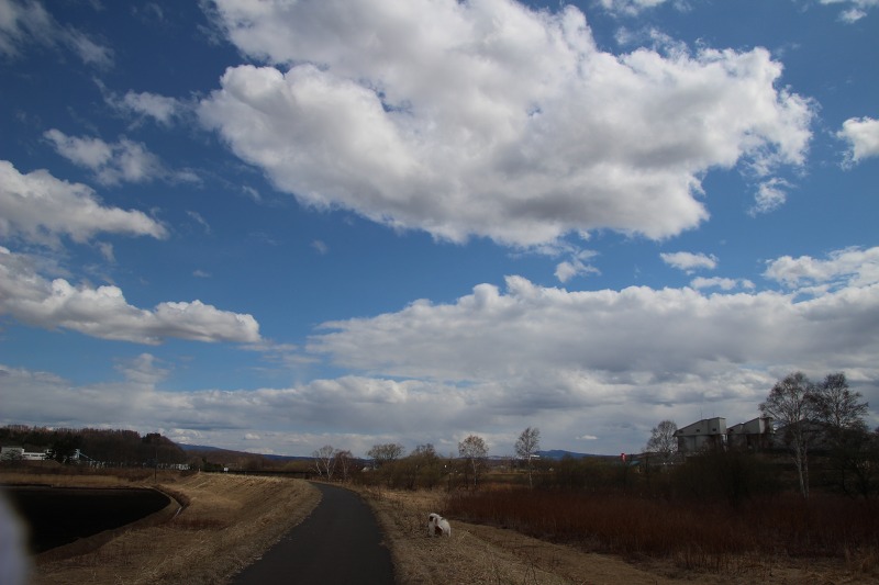 ファイル 51-3.jpg