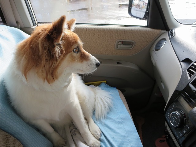 ファイル 52-3.jpg