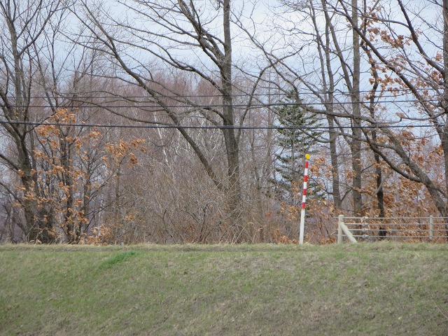 ファイル 52-7.jpg