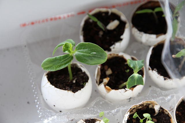 ファイル 53-4.jpg