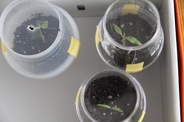 ファイル 53-5.jpg