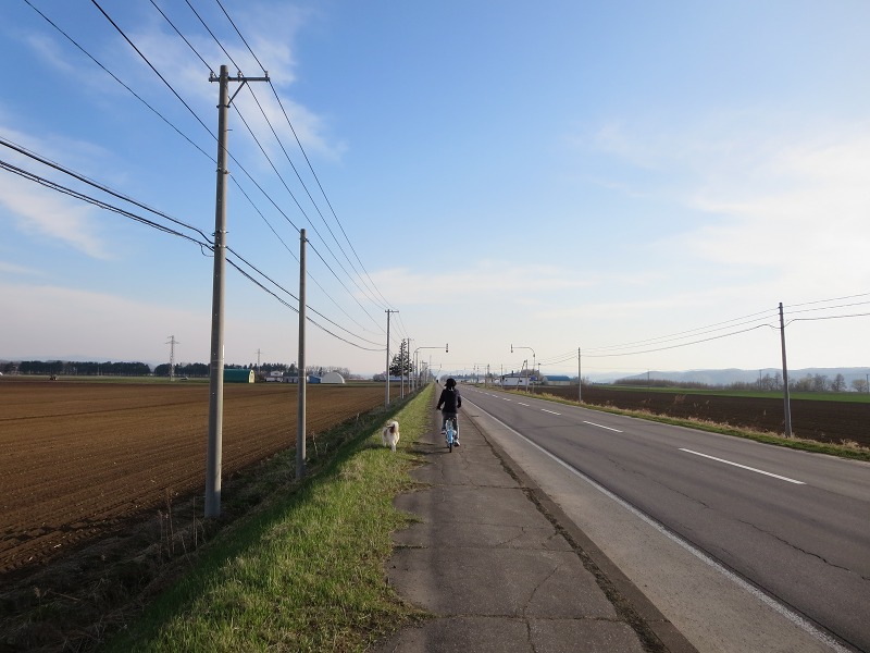 ファイル 56-1.jpg