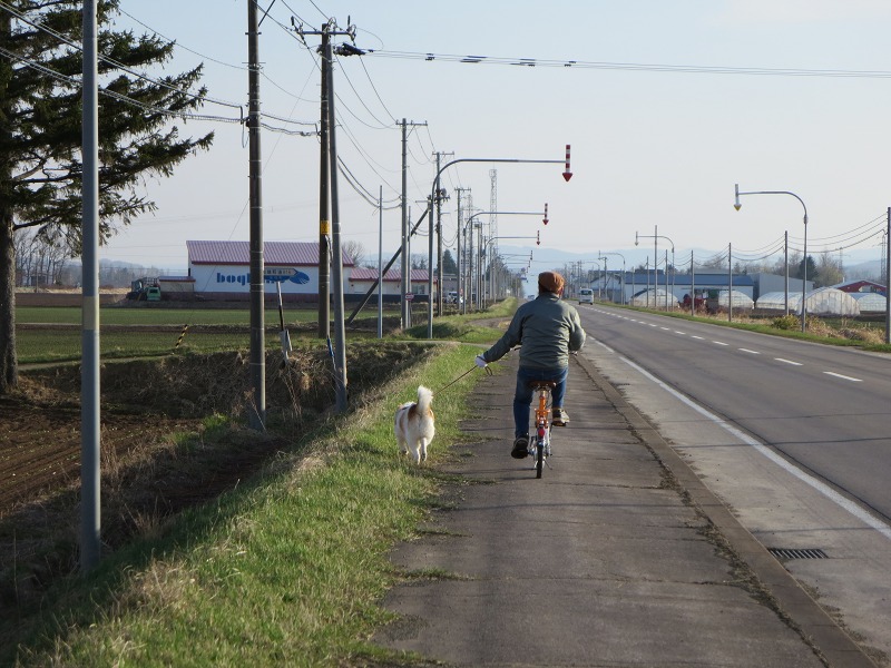 ファイル 56-3.jpg