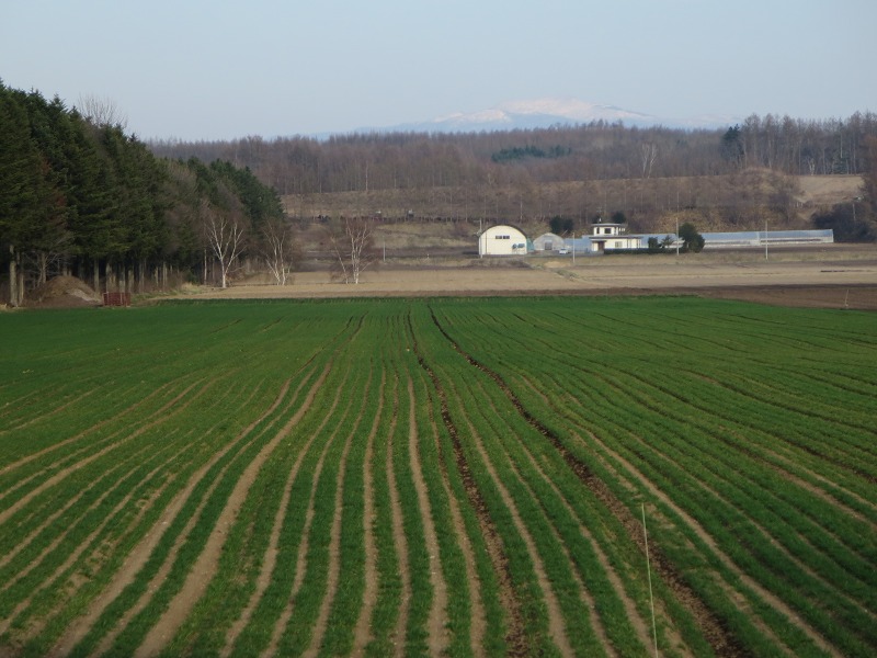 ファイル 56-6.jpg