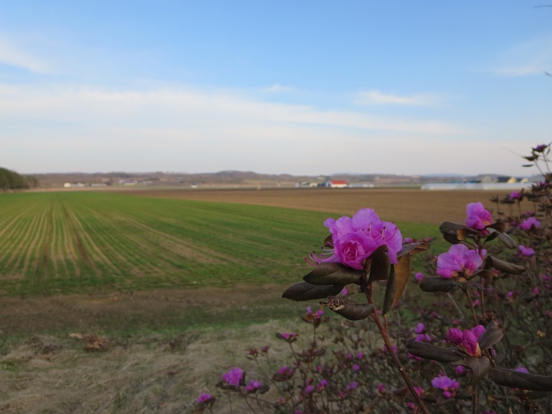 ファイル 56-7.jpg