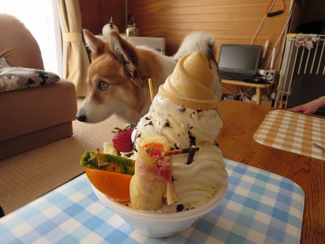 ファイル 56-9.jpg