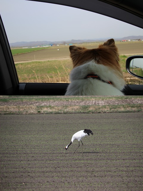 ファイル 57-1.jpg