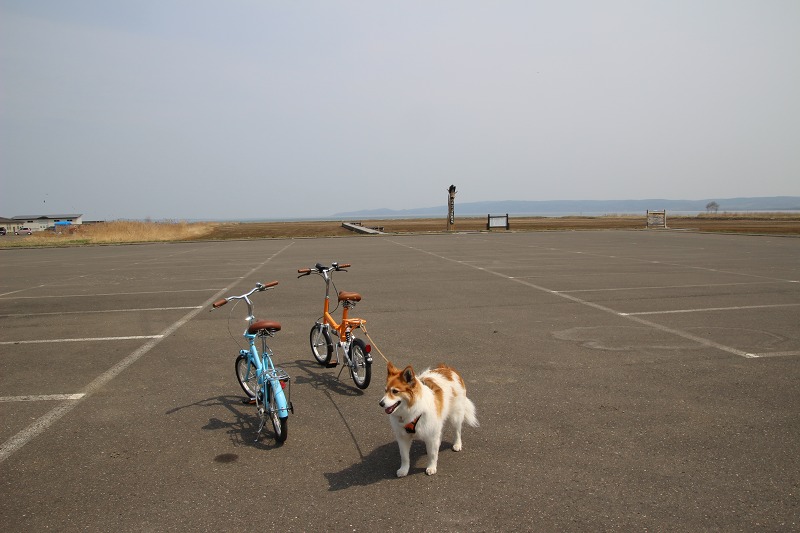 ファイル 57-2.jpg