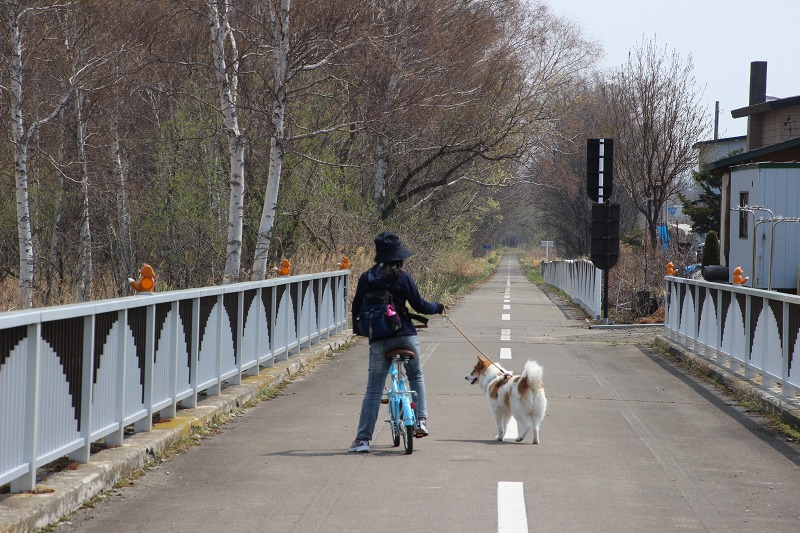 ファイル 57-3.jpg