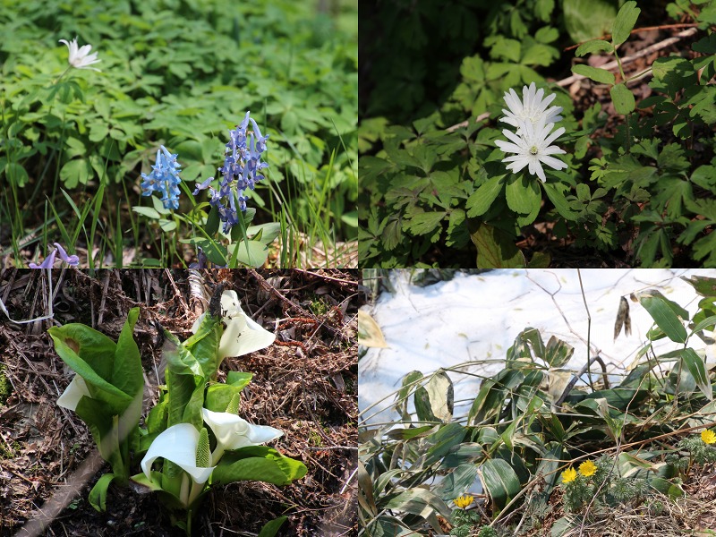 ファイル 57-4.jpg