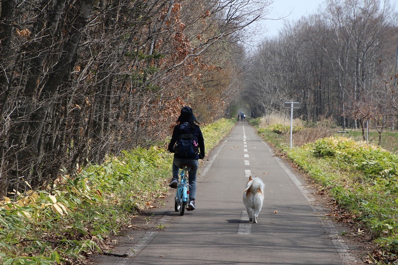 ファイル 57-5.jpg