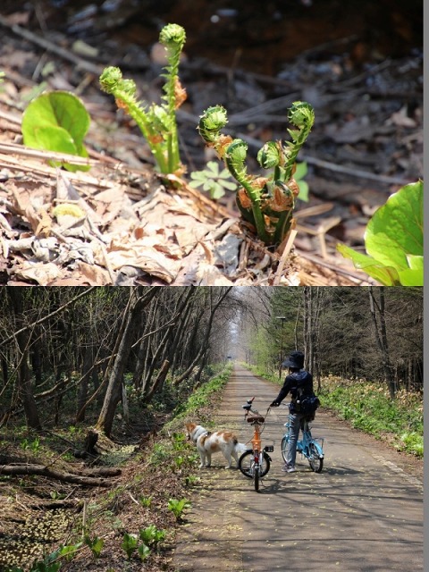 ファイル 57-8.jpg