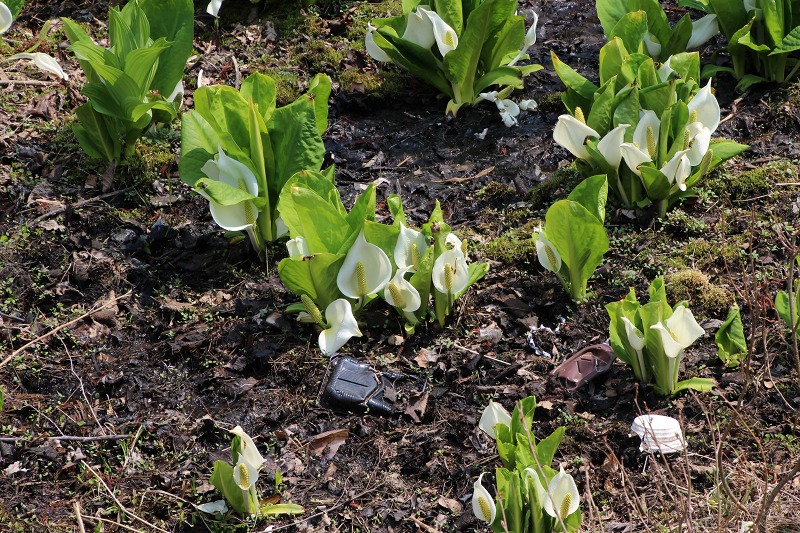 ファイル 58-1.jpg