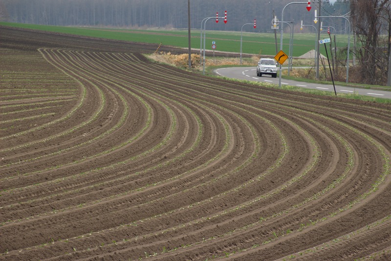 ファイル 58-8.jpg