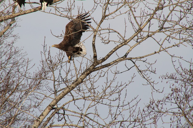 ファイル 6-3.jpg