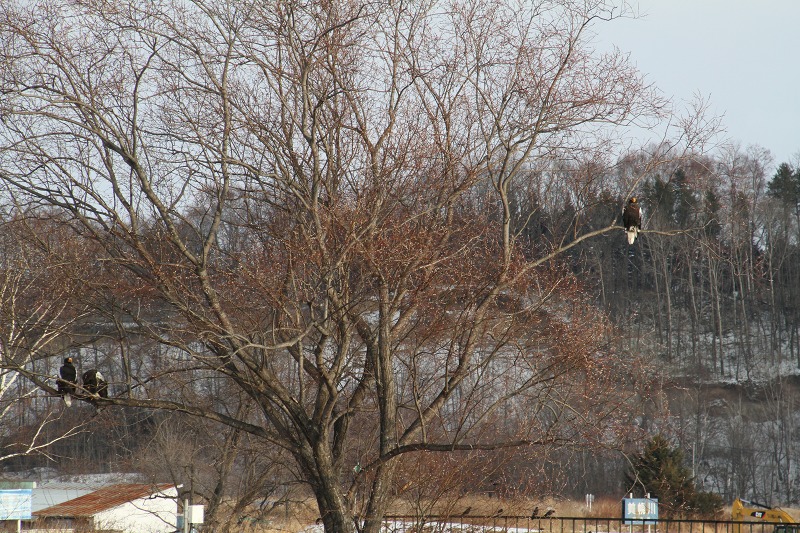 ファイル 6-5.jpg