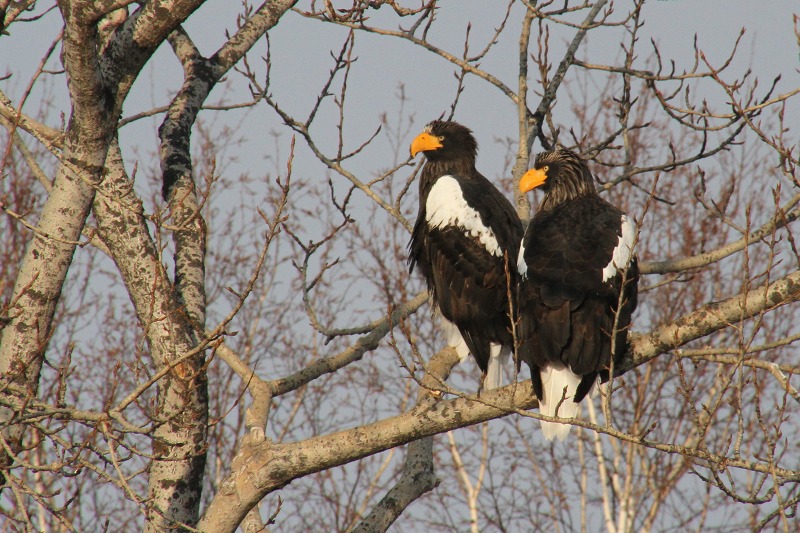 ファイル 6-9.jpg