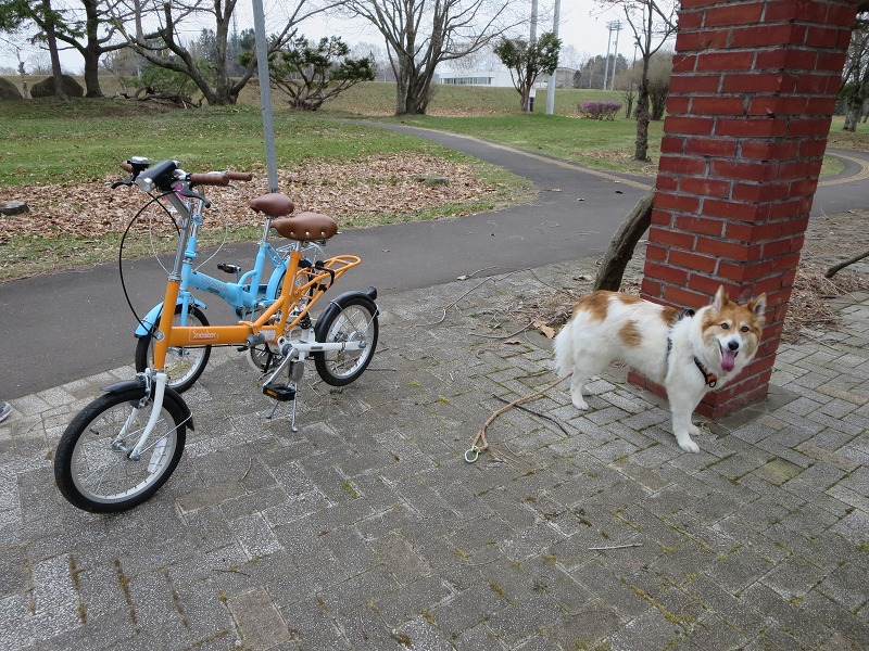 ファイル 61-1.jpg