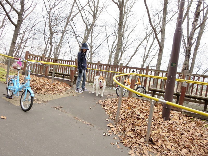 ファイル 61-3.jpg