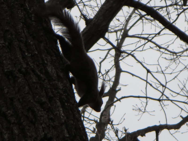 ファイル 61-4.jpg