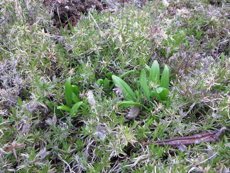 ファイル 61-6.jpg