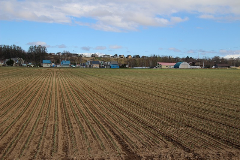 ファイル 62-4.jpg