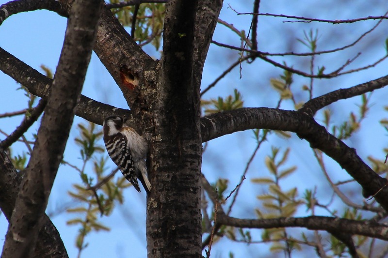 ファイル 62-6.jpg