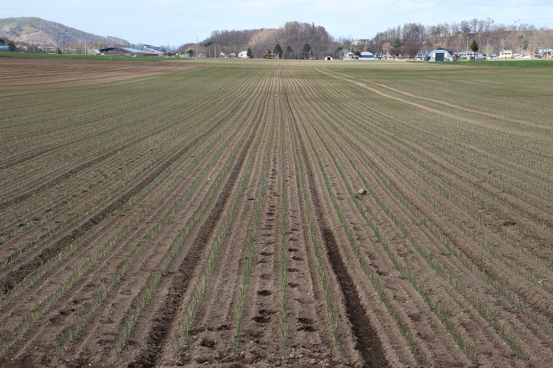 ファイル 62-7.jpg