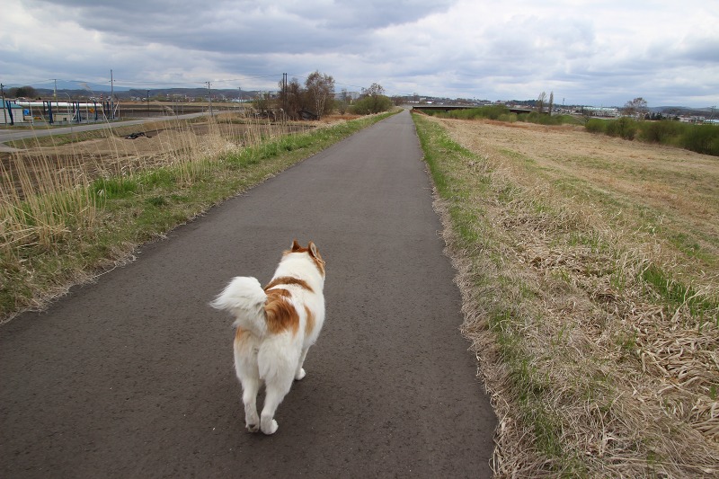 ファイル 63-4.jpg