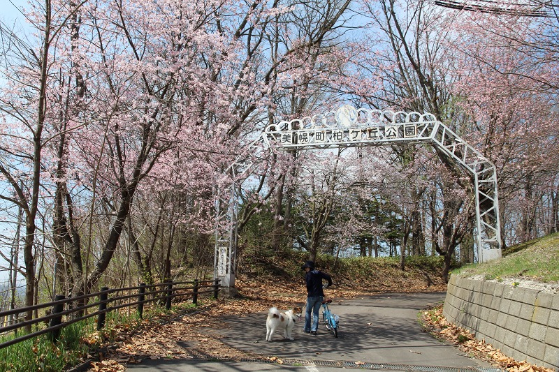 ファイル 64-4.jpg