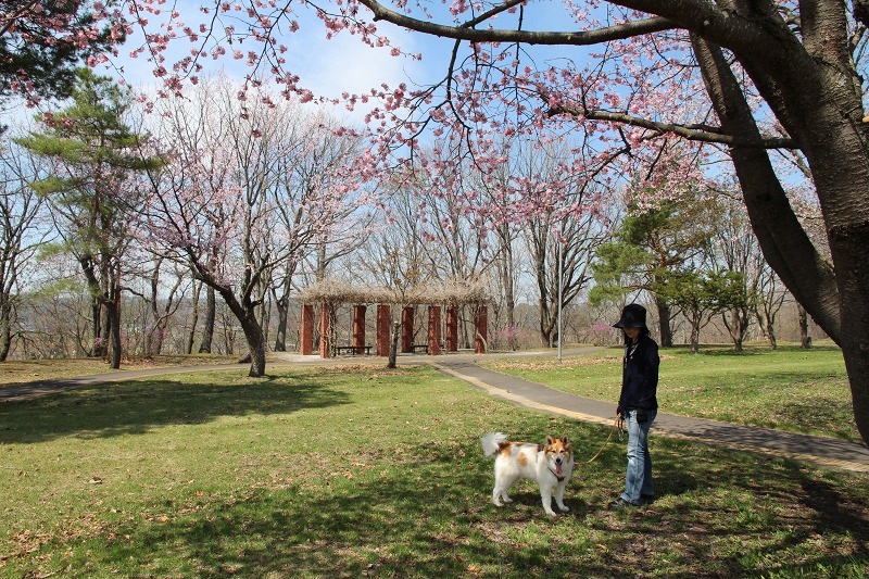 ファイル 64-6.jpg