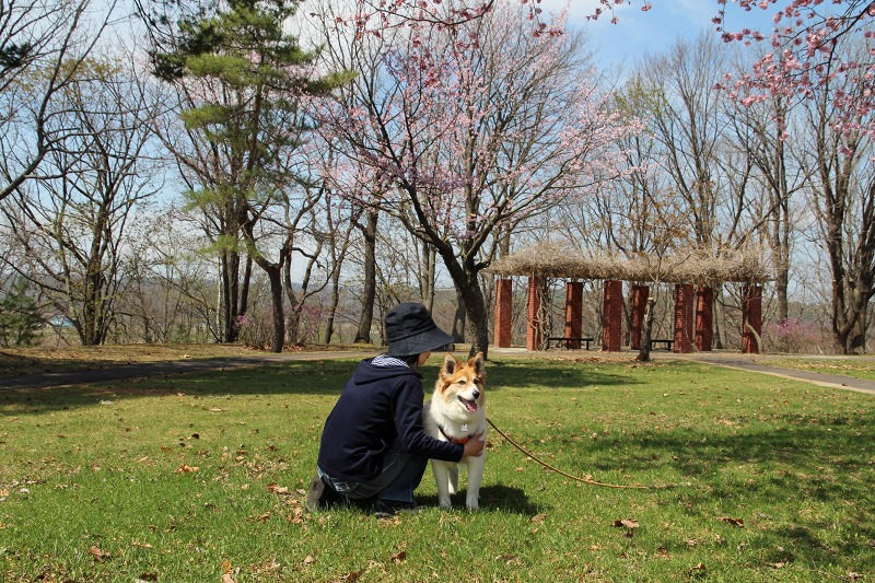 ファイル 64-8.jpg