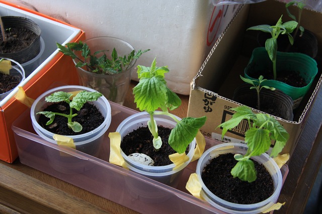 ファイル 65-4.jpg