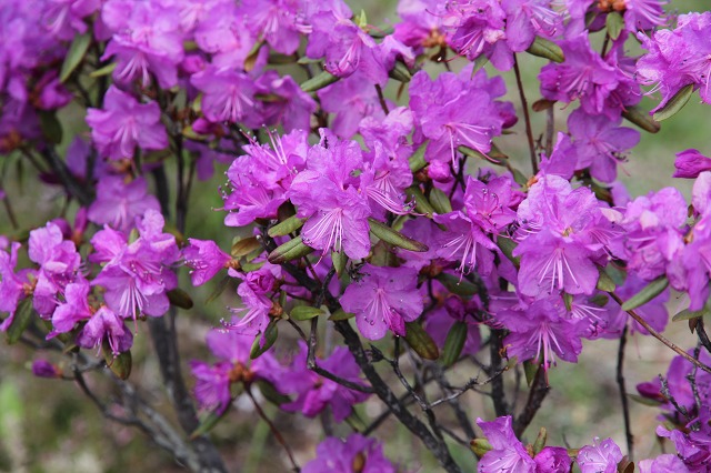 ファイル 65-6.jpg