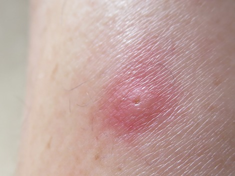 ファイル 66-5.jpg