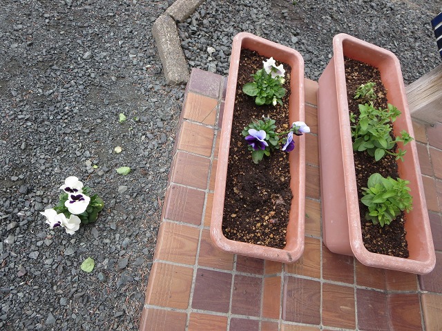 ファイル 66-8.jpg