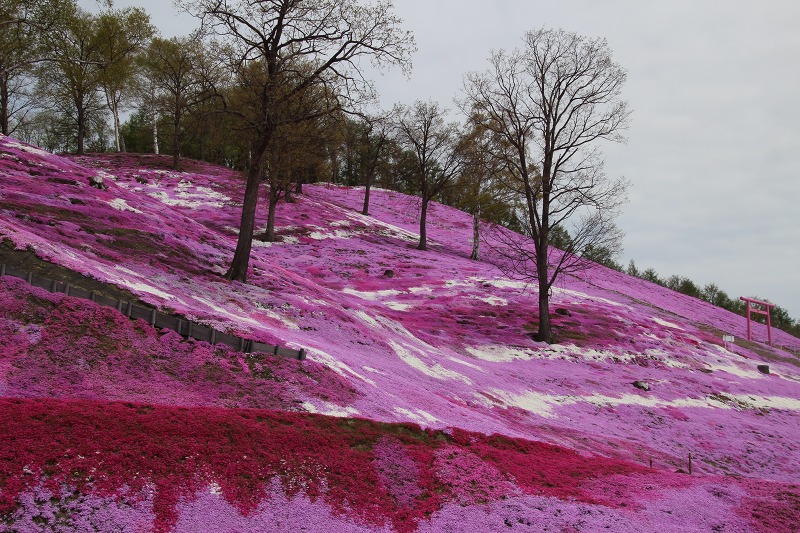 ファイル 69-2.jpg