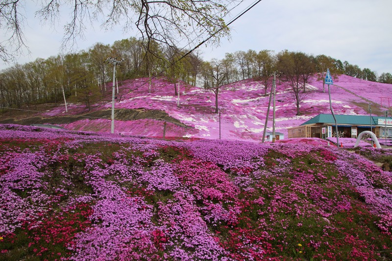 ファイル 69-3.jpg