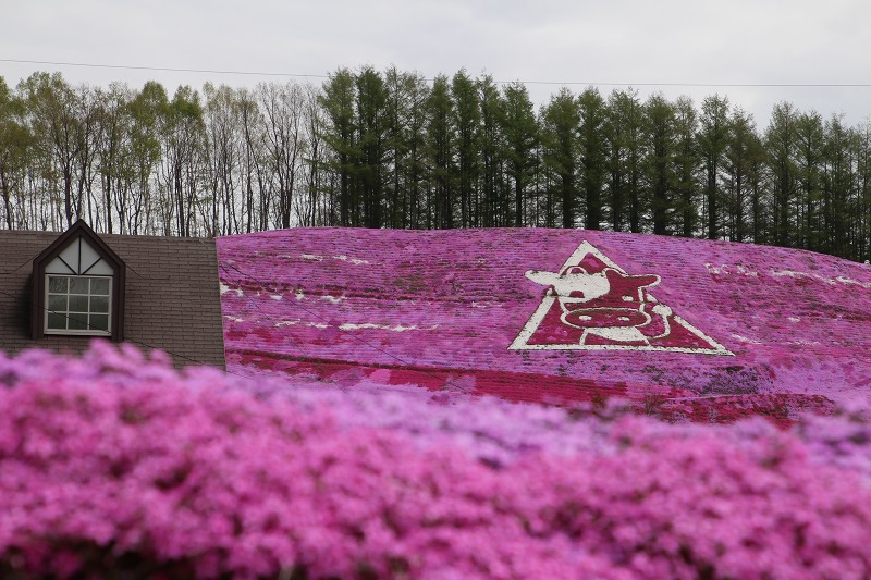 ファイル 69-5.jpg