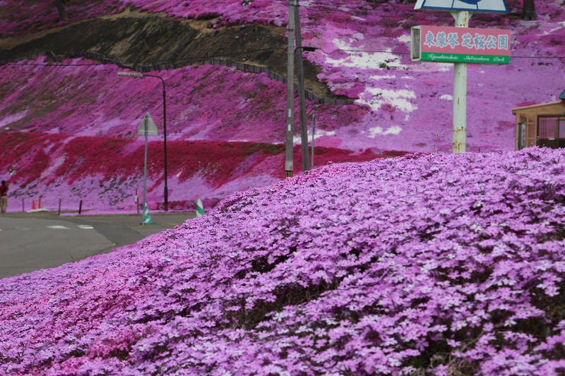 ファイル 69-6.jpg