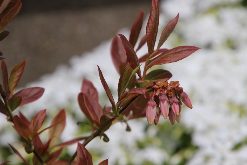 ファイル 69-8.jpg